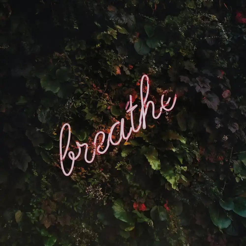 breathwork home